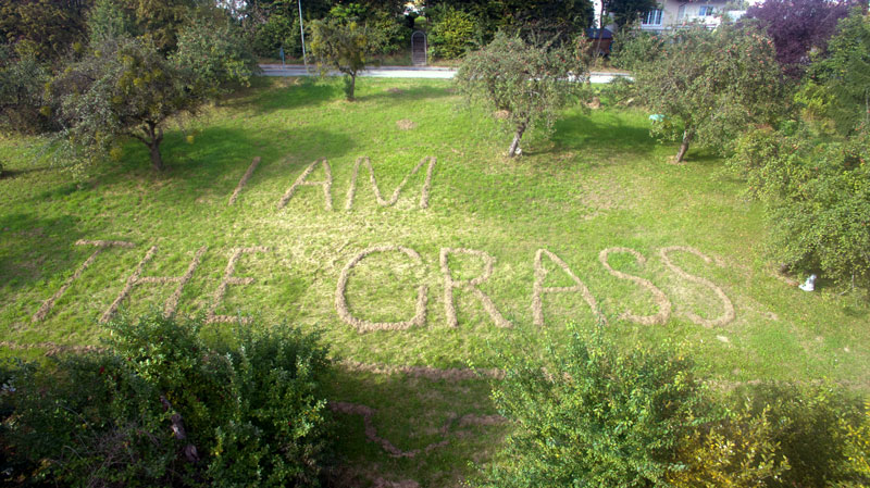 IN_2016_I-AM-THE-GRASS-Luftbild